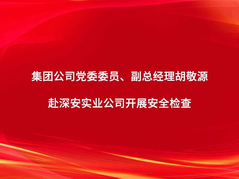 集團(tuán)公司黨委委員、副總經(jīng)理胡敬源赴深...